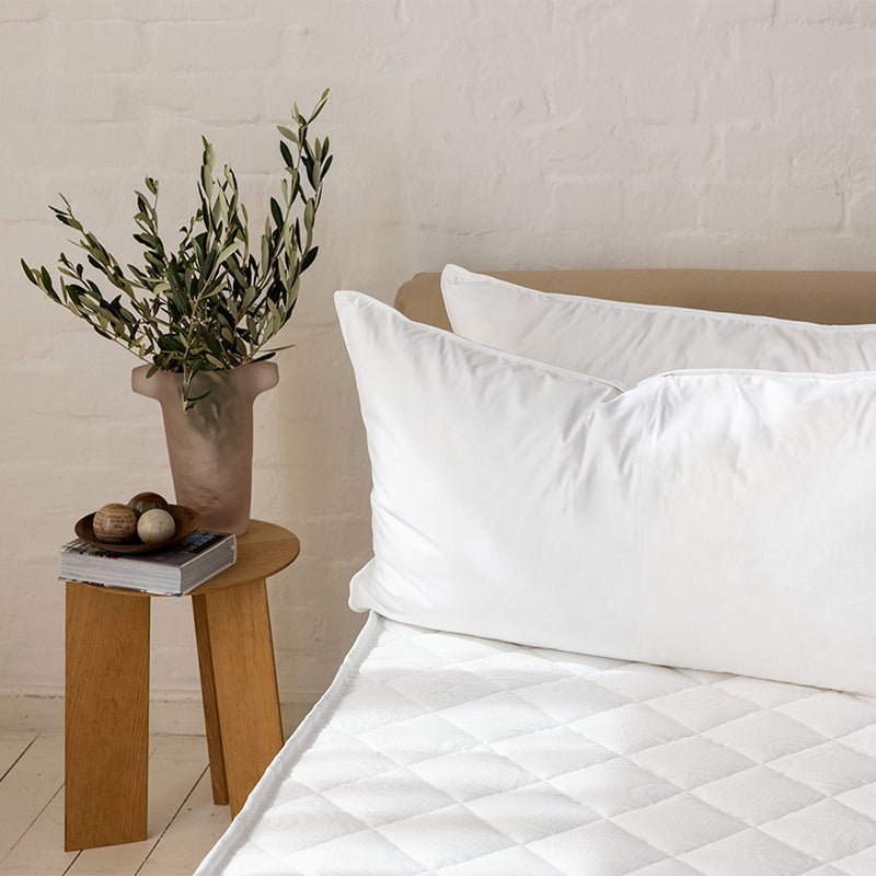 From Source to Snuggle - Down & Cotton