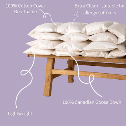Die Zudecke 100% Canadian Goose Down 9tog Duvet - Down & Cotton