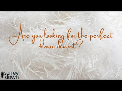 Die Zudecke 100% Canadian Goose Down 6tog Duvet